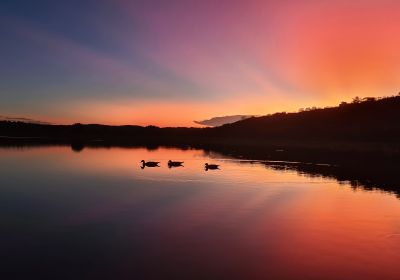 Pôr do Sol Sertanejo