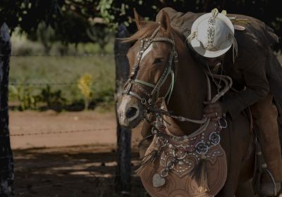 O Vaqueiro e Seu Cavalo: Ícones do Sertão Nordestino
