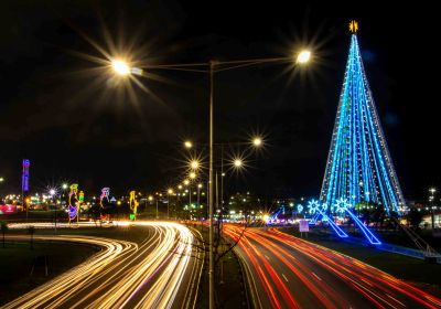 Os Três Reis Magos e a Árvore de Natal